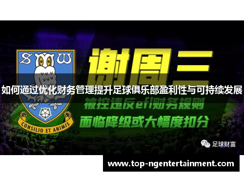 如何通过优化财务管理提升足球俱乐部盈利性与可持续发展
