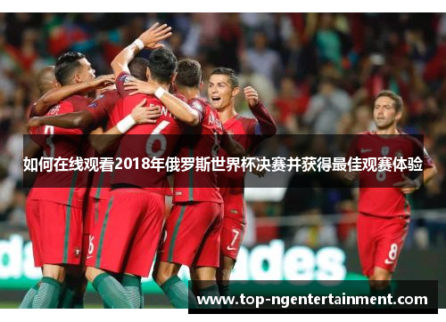 如何在线观看2018年俄罗斯世界杯决赛并获得最佳观赛体验