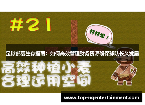 足球部落生存指南：如何高效管理财务资源确保球队长久发展