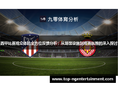 西甲比赛观众体验全方位反馈分析：从场馆设施到观赛氛围的深入探讨