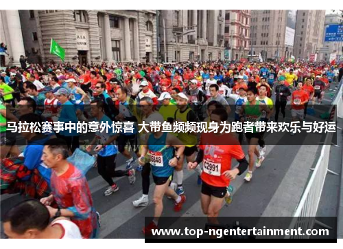 马拉松赛事中的意外惊喜 大带鱼频频现身为跑者带来欢乐与好运